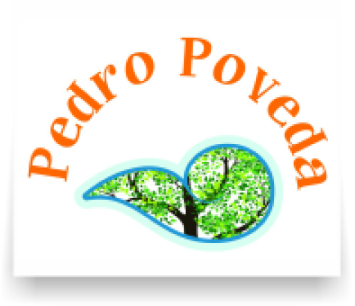 pedro-poveda_512